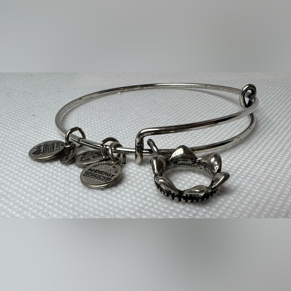 RETIRED: Alex and Ani | Queens Crown charm bracelet. - Picture 10 of 15